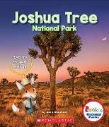 Joshua Tree National Park (Rookie National Parks)