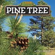 Pine Tree