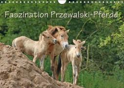 Faszination Przewalski-Pferde (Wandkalender 2019 DIN A4 quer)