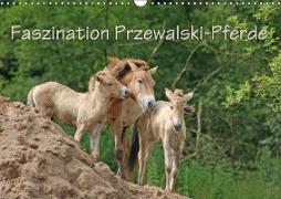 Faszination Przewalski-Pferde (Wandkalender 2019 DIN A3 quer)