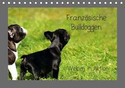 Französische Bulldoggen (Tischkalender 2019 DIN A5 quer)