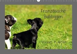 Französische Bulldoggen (Wandkalender 2019 DIN A3 quer)