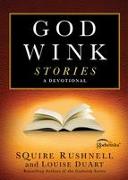 Godwink Stories: A Devotional