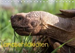 Landschildkr?ten (Tischkalender 2019 DIN A5 quer)