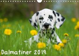 Dalmatiner 2019 (Wandkalender 2019 DIN A4 quer)