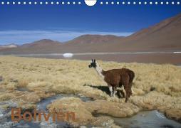 Bolivien (Wandkalender 2019 DIN A4 quer)