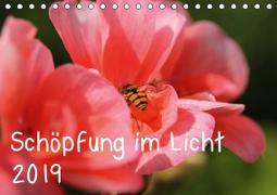 Schöpfung im Licht (Tischkalender 2019 DIN A5 quer)