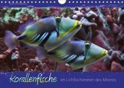 Korallenfische im Lichtschimmer des Meeres (Wandkalender 2019 DIN A4 quer)