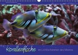 Korallenfische im Lichtschimmer des Meeres (Wandkalender 2019 DIN A3 quer)