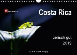 Costa Rica tierisch gut 2019 (Wandkalender 2019 DIN A4 quer)