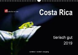 Costa Rica tierisch gut 2019 (Wandkalender 2019 DIN A3 quer)