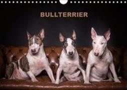 Bullterrier (Wandkalender 2019 DIN A4 quer)