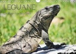 Leguane - Einzigartige Reptilien (Wandkalender 2019 DIN A4 quer)