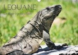 Leguane - Einzigartige Reptilien (Wandkalender 2019 DIN A3 quer)