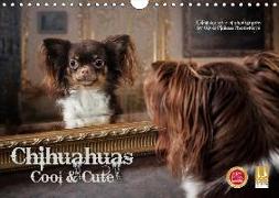 Chihuahuas - Cool and Cute (Wandkalender 2019 DIN A4 quer)