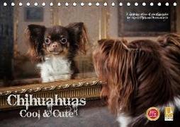 Chihuahuas - Cool and Cute (Tischkalender 2019 DIN A5 quer)