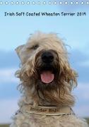 Irish Soft Coated Wheaten Terrier Kalender 2019 (Tischkalender 2019 DIN A5 hoch)