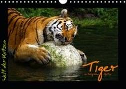 Welt der Katzen - Tiger (Wandkalender 2019 DIN A4 quer)