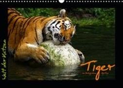 Welt der Katzen - Tiger (Wandkalender 2019 DIN A3 quer)