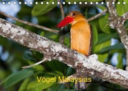 Vögel Malaysias - Birds of Malaysia (Tischkalender 2019 DIN A5 quer)