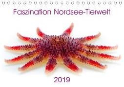 Faszination Nordsee-Tierwelt 2019 (Tischkalender 2019 DIN A5 quer)
