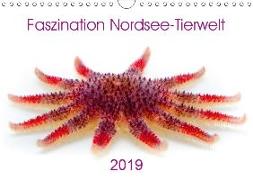 Faszination Nordsee-Tierwelt 2019 (Wandkalender 2019 DIN A4 quer)