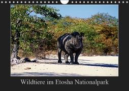 Wildtiere im Etosha Nationalpark (Wandkalender 2019 DIN A4 quer)