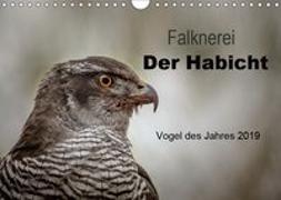 Falknerei Der Habicht (Wandkalender 2019 DIN A4 quer)