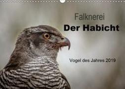 Falknerei Der Habicht (Wandkalender 2019 DIN A3 quer)