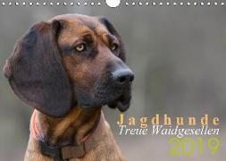 Jagdhunde - Treue Waidgesellen (Wandkalender 2019 DIN A4 quer)