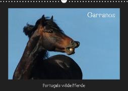 Garranos (Wandkalender 2019 DIN A3 quer)