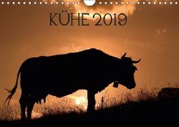 Kühe 2019 (Wandkalender 2019 DIN A4 quer)