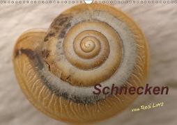 Schnecken (Wandkalender 2019 DIN A3 quer)