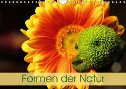 Formen der Natur (Wandkalender 2019 DIN A4 quer)