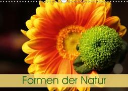 Formen der Natur (Wandkalender 2019 DIN A3 quer)