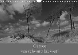 Ostsee - von schwarz bis wei? (Wandkalender 2019 DIN A4 quer)