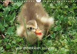 Laufentenküken - Sunny (Wandkalender 2019 DIN A4 quer)