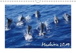 Madeira 2019 (Wandkalender 2019 DIN A4 quer)