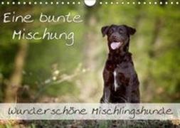 Eine bunte Mischung - wunderschöne Mischlingshunde / Geburtstagskalender (Wandkalender 2019 DIN A4 quer)