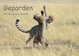Geparden - Afrikas grazile Katzen (Tischkalender 2019 DIN A5 quer)