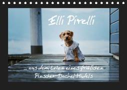 Elli Pirelli... aus dem Leben eines fröhlichen Pinscher-Dackel-Mädels (Tischkalender 2019 DIN A5 quer)