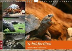 Schildkr?ten - Gepanzerte Urzeitwesen (Wandkalender 2019 DIN A4 quer)