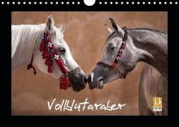 Vollblutaraber (Wandkalender 2019 DIN A4 quer)