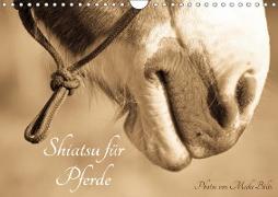 Shiatsu f?r Pferde - Photos von Meike B?lts (Wandkalender 2019 DIN A4 quer)