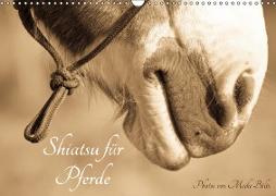 Shiatsu f?r Pferde - Photos von Meike B?lts (Wandkalender 2019 DIN A3 quer)