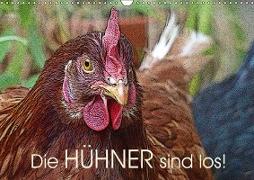 Die H?hner sind los! (Wandkalender 2019 DIN A3 quer)