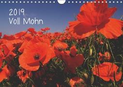 Voll Mohn (Wandkalender 2019 DIN A4 quer)