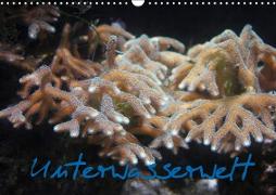 Unterwasserwelt (Wandkalender 2019 DIN A3 quer)