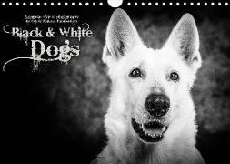 Dogs - Black & White (Wandkalender 2019 DIN A4 quer)