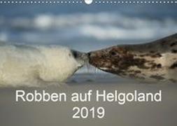 Robben auf Helgoland 2019CH-Version (Wandkalender 2019 DIN A3 quer)